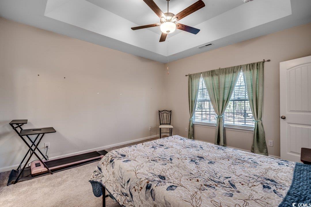 477 Cane Branch Road Loris, SC 29569 - Photo 16 of 27 Bedroom with a raised ceiling, ceiling fan, and ca