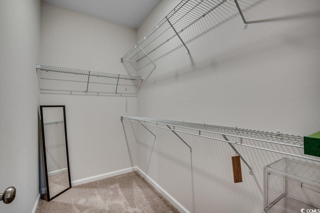 477 Cane Branch Road Loris, SC 29569 - Photo 17 of 27 Walk in closet with carpet floors