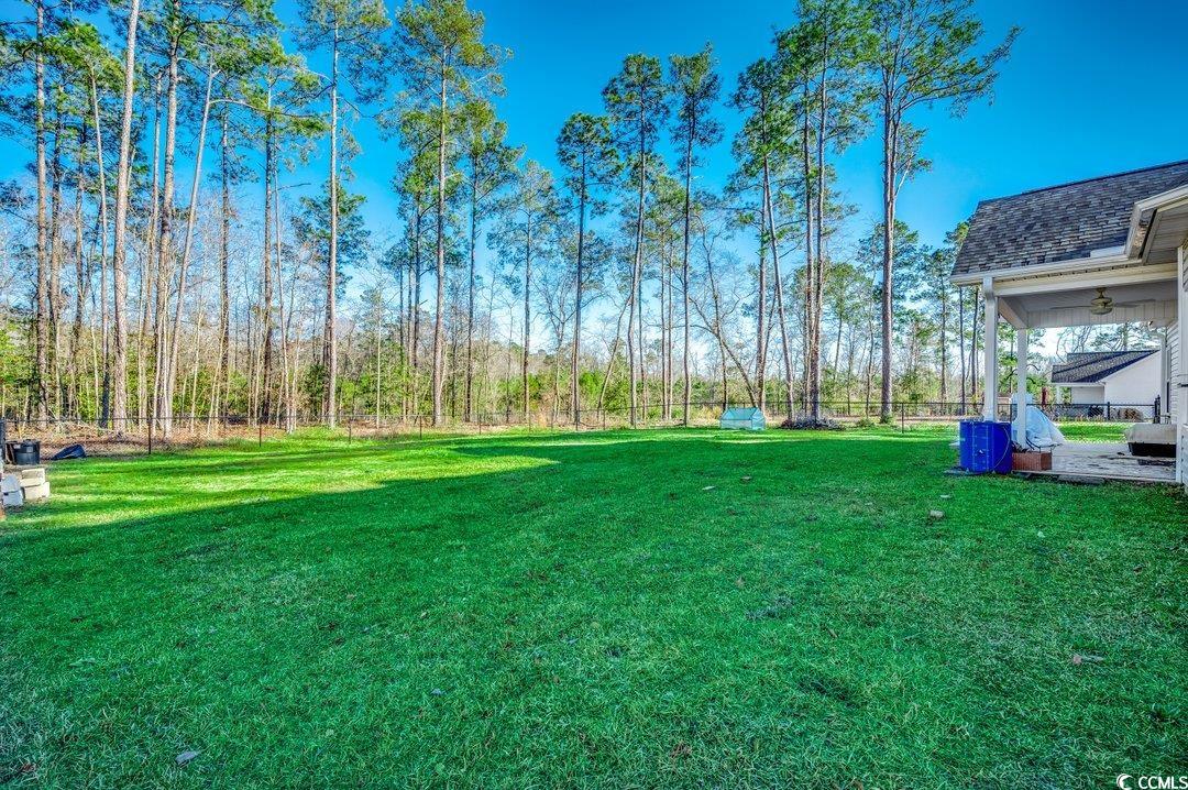 477 Cane Branch Road Loris, SC 29569 - Photo 23 of 27 View of yard