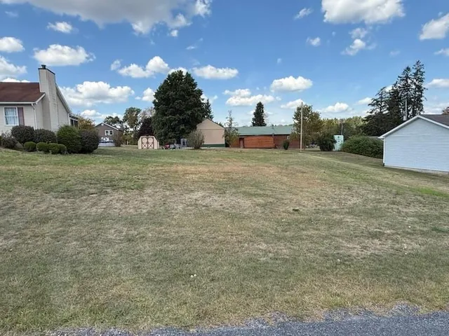 a view of a backyard
