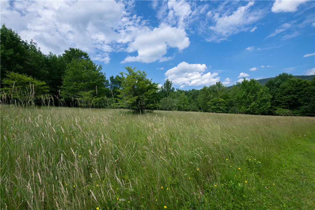 2943 Thompson Hollow Road New Kingston, NY 12459 - Photo 28 of 32