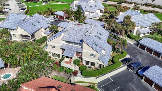 a view of a garden with palm trees