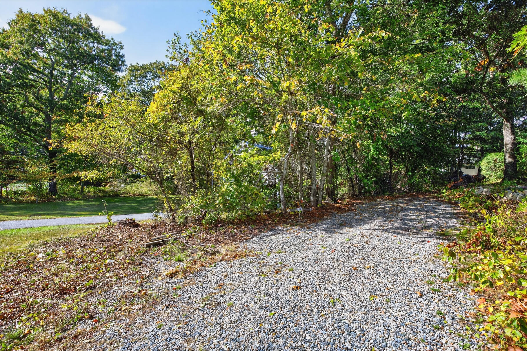 53 Main Street Sandwich, MA 02563 - Photo 29 of 33 a view of a yard with plants and trees