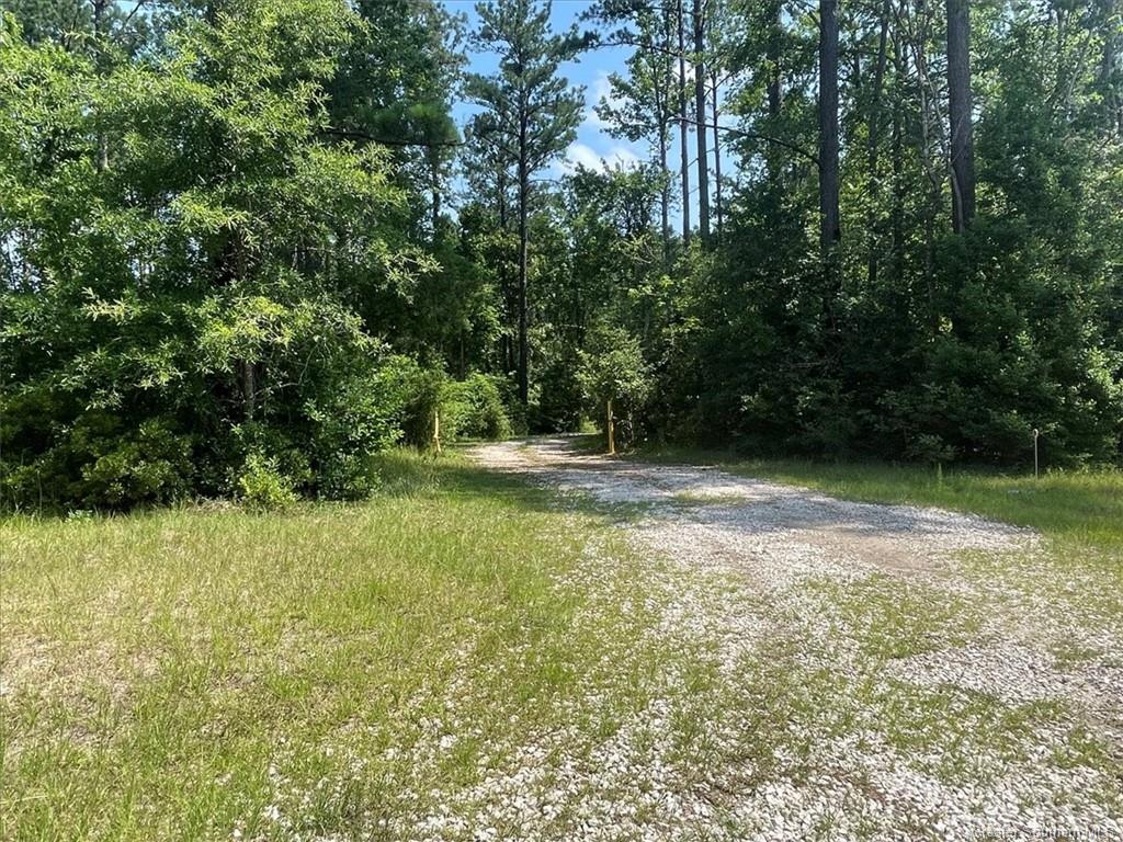 219 Jack Bailey Road Deridder, LA 70634 - Photo 36 of 39 Gallery Image 36