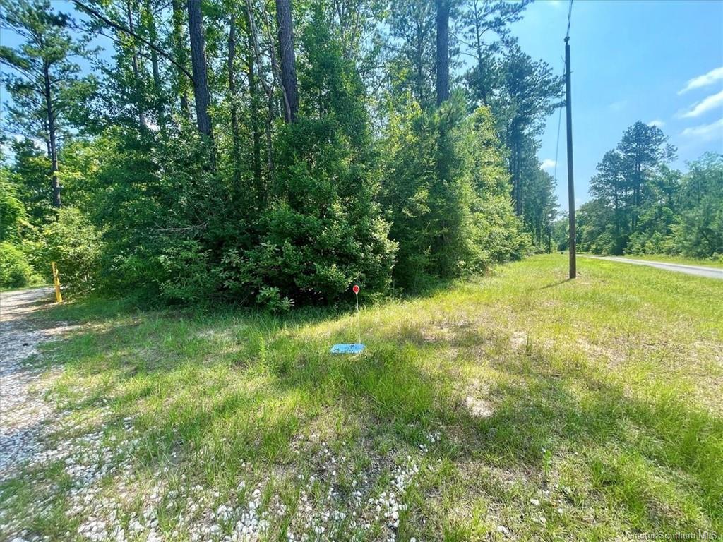 219 Jack Bailey Road Deridder, LA 70634 - Photo 37 of 39 Gallery Image 37