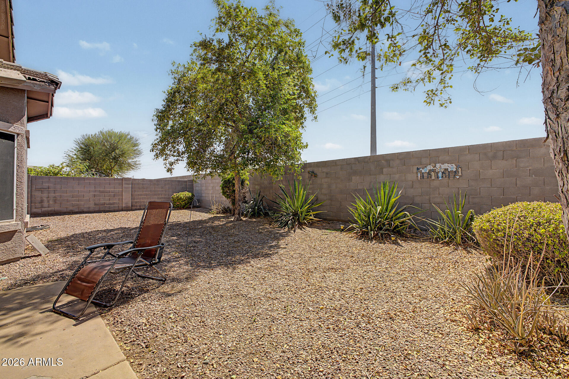 3645 South Joshua Tree Lane Gilbert, AZ 85297 - Photo 25 of 28 25 - Joshua Tree