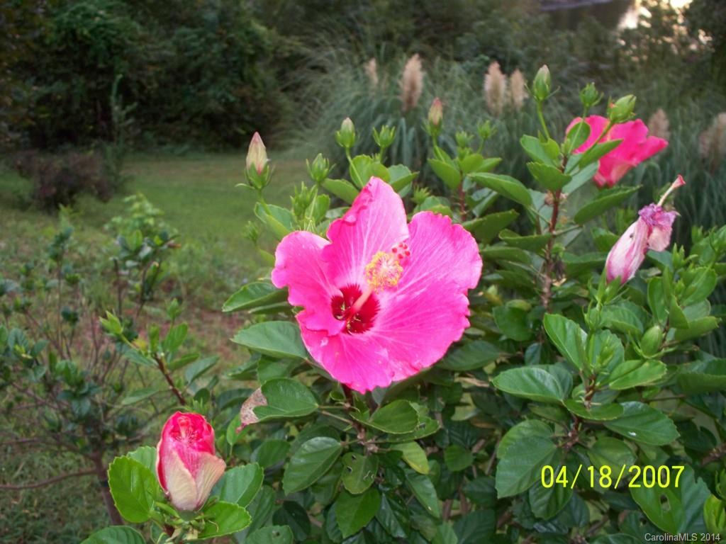 33752 Shaver Road, Unit A Albemarle, NC 28001 - Photo 1 of 1 Gallery Image 1