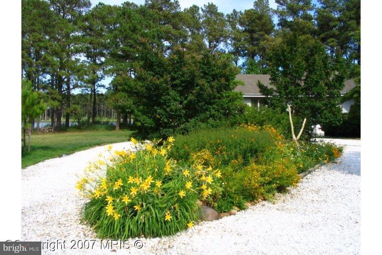 616 Hills Point Road Cambridge, MD 21613 - Photo 14 of 20 Garden