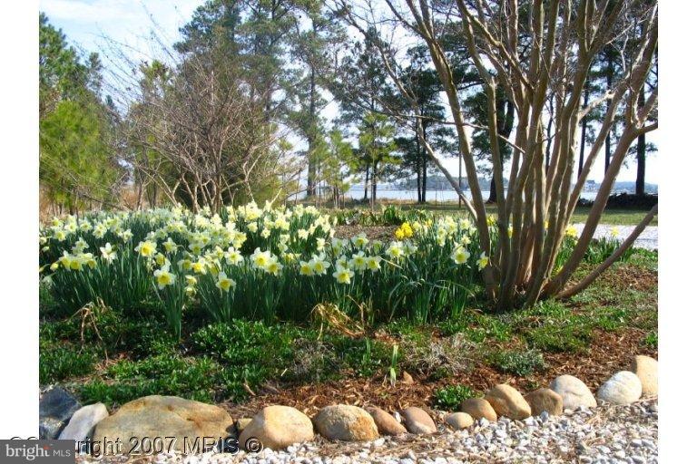 616 Hills Point Road Cambridge, MD 21613 - Photo 15 of 20 Garden #2