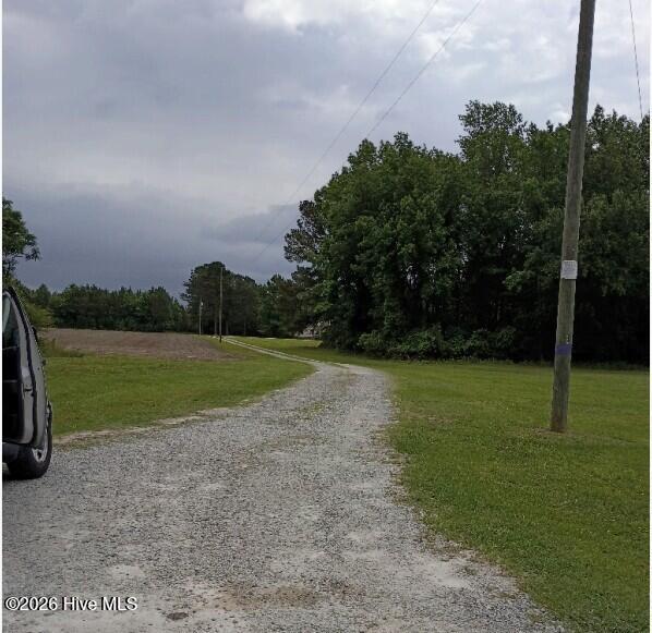 0 Maules Point Road Blounts Creek, NC 27814 - Photo 6 of 7 Path to land
