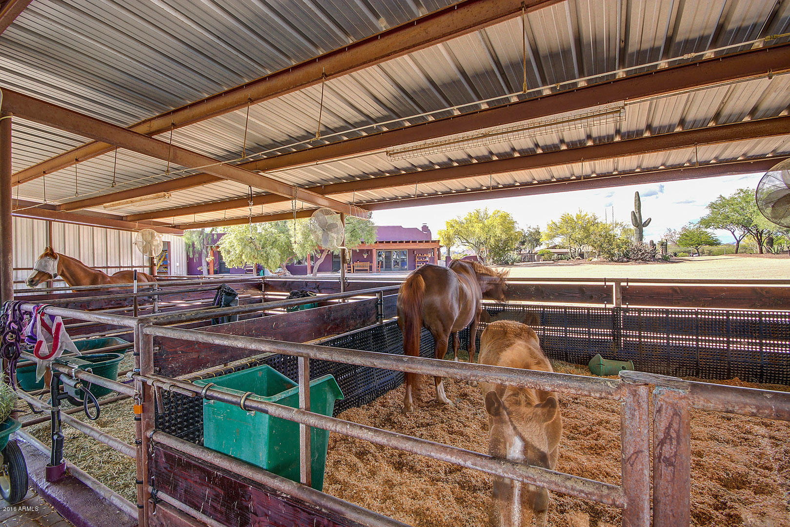 31022 East Ranch Road Cave Creek, AZ 85331 - Photo 54 of 57 Ranch (58)