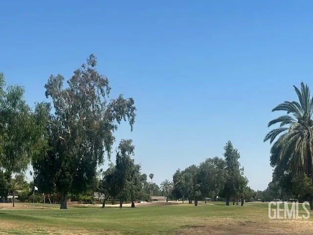 a view of a grassy field with trees