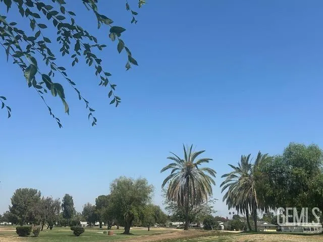 a view of outdoor space with trees