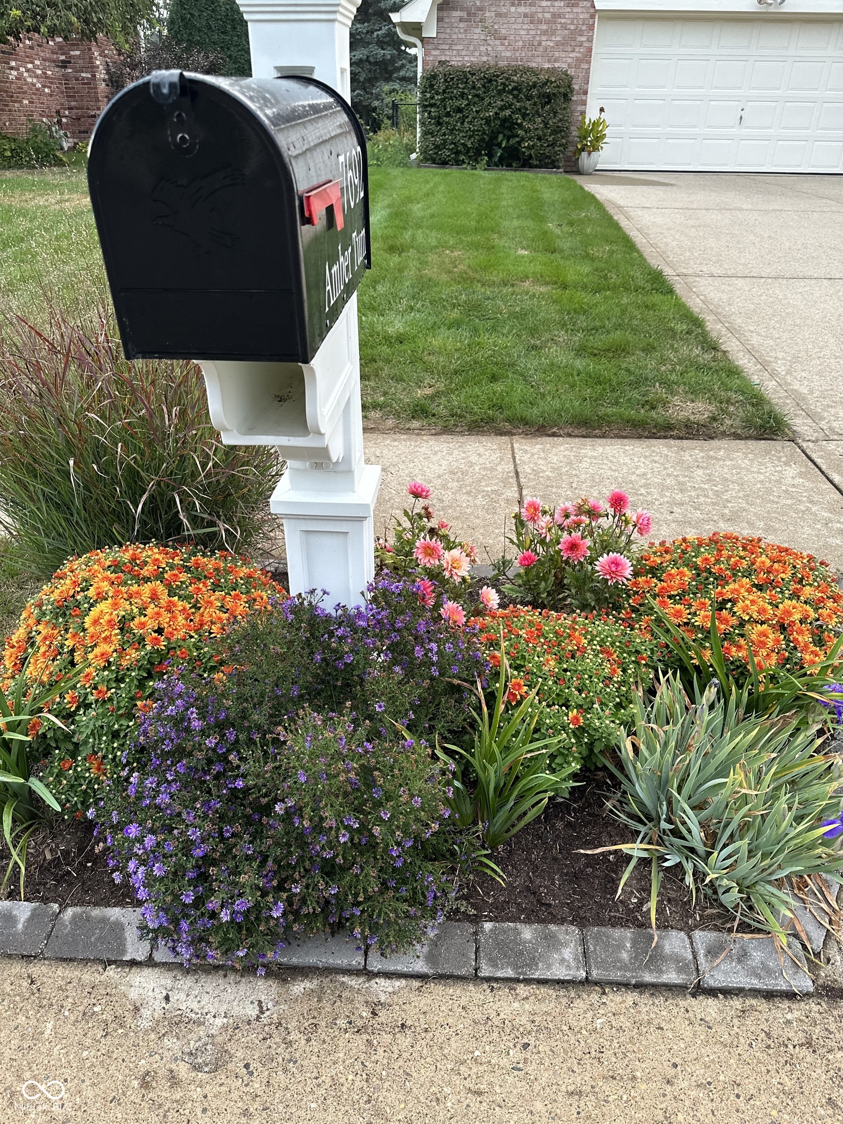 7692 Amber Turn Plainfield, IN 46168 - Photo 2 of 27