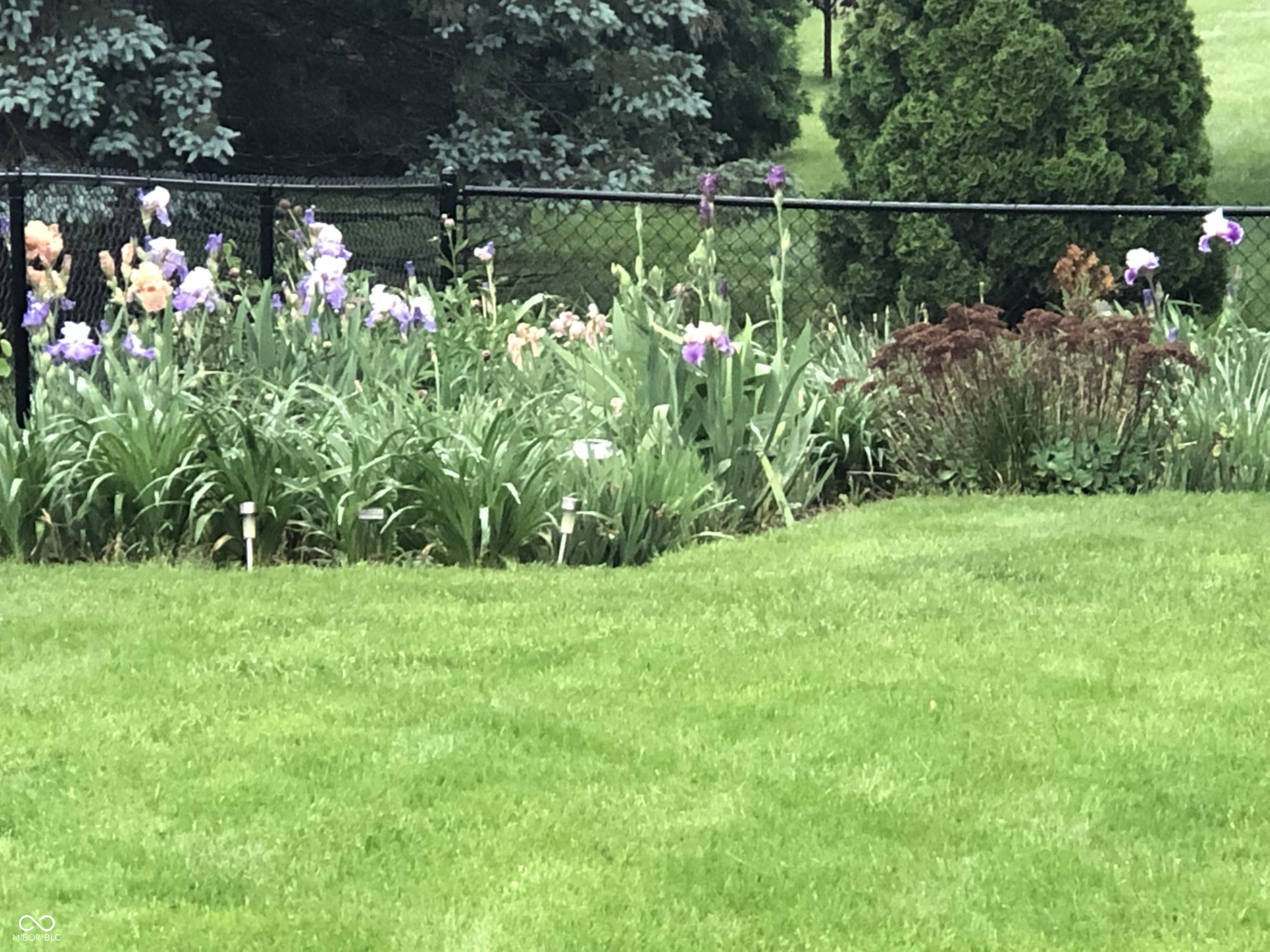 7692 Amber Turn Plainfield, IN 46168 - Photo 23 of 27