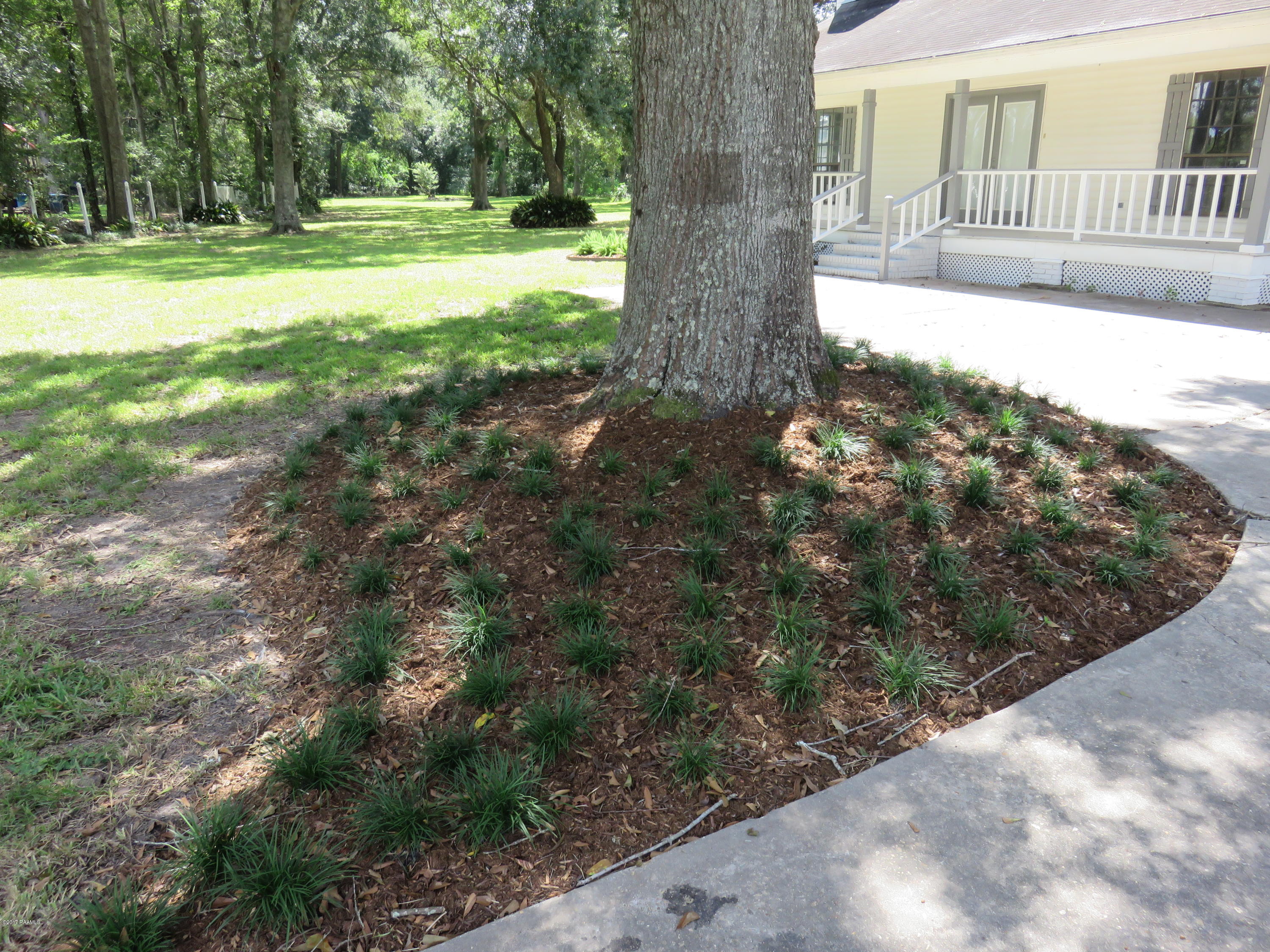 701 Ombrage Road Carencro, LA 70520 - Photo 4 of 49 Gallery Image 4