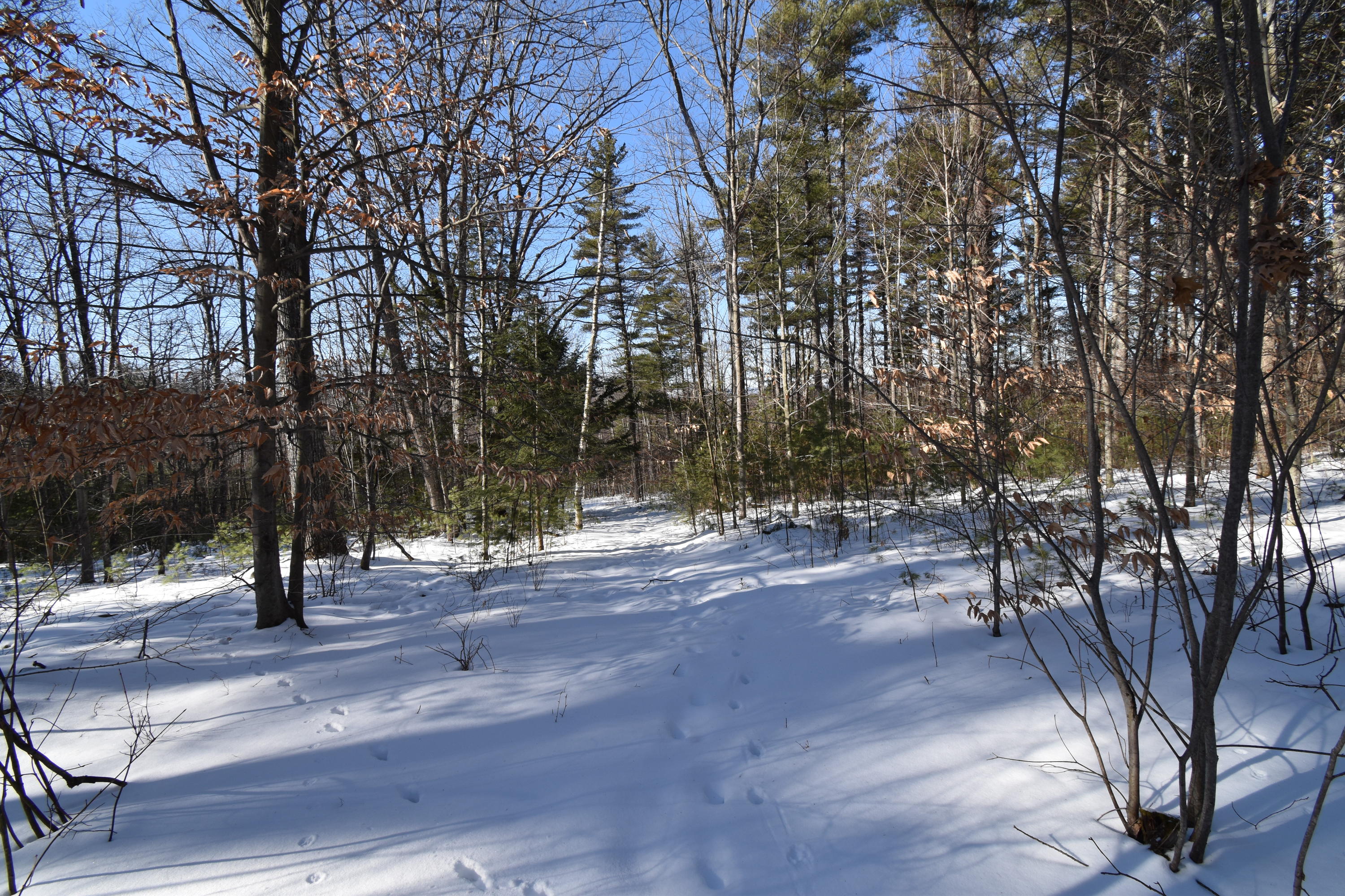 360 Watson Heights Road Kents Hill, ME 04349 - Photo 63 of 77 DSC_0340