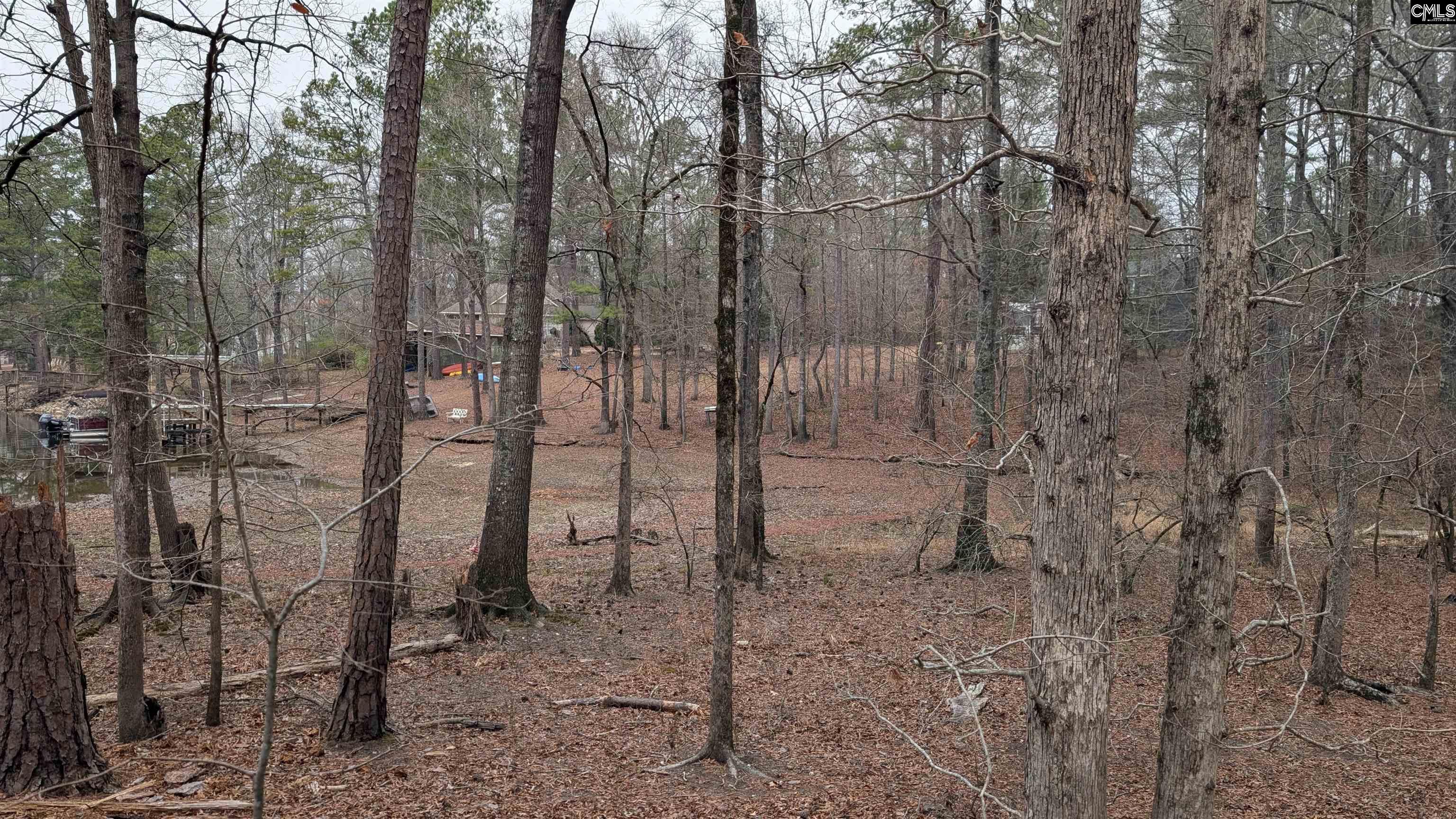 Lots B & C Lots B & C Miller Road Camden, SC 29020 - Photo 21 of 36