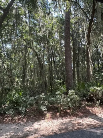 $70,000 | Lot 45 Delegal Drive Northeast, Townsend, GA 31331