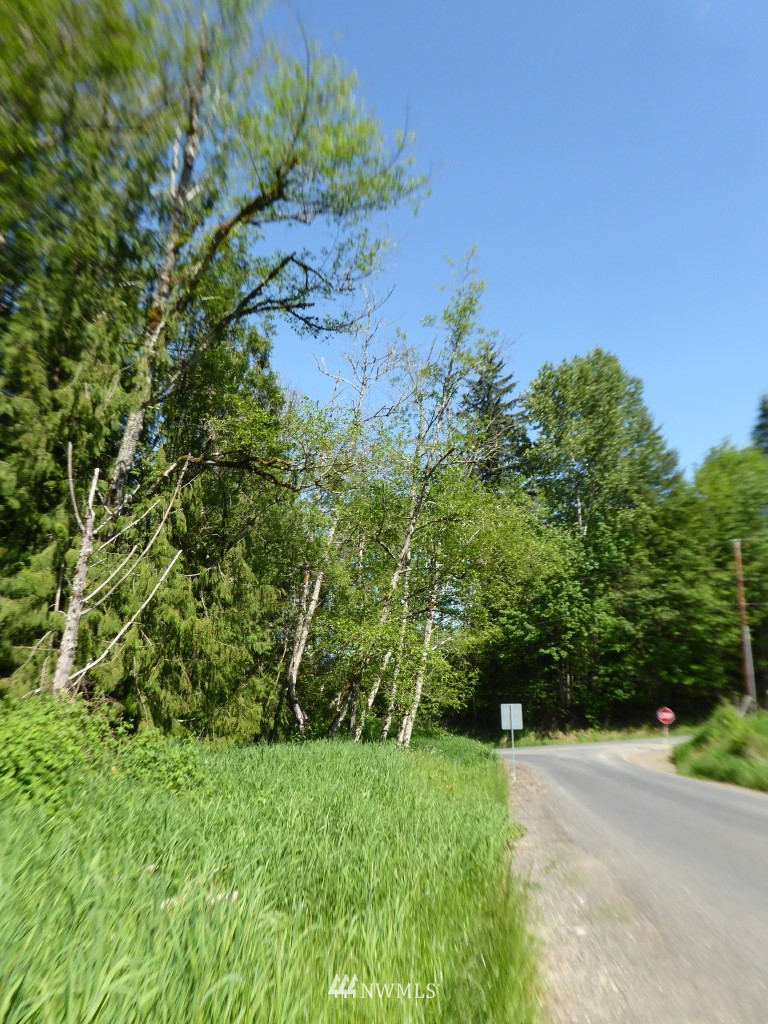 0 Isbell Road Mossyrock, WA 98564 - Photo 13 of 16 Gallery Image 13