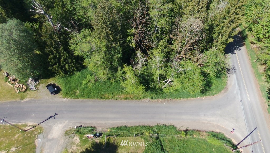 0 Isbell Road Mossyrock, WA 98564 - Photo 14 of 16 Gallery Image 14