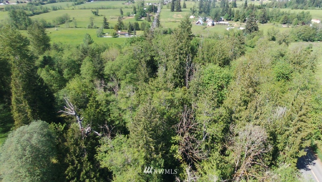 0 Isbell Road Mossyrock, WA 98564 - Photo 15 of 16 Gallery Image 15