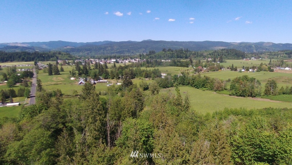 0 Isbell Road Mossyrock, WA 98564 - Photo 16 of 16 Gallery Image 16