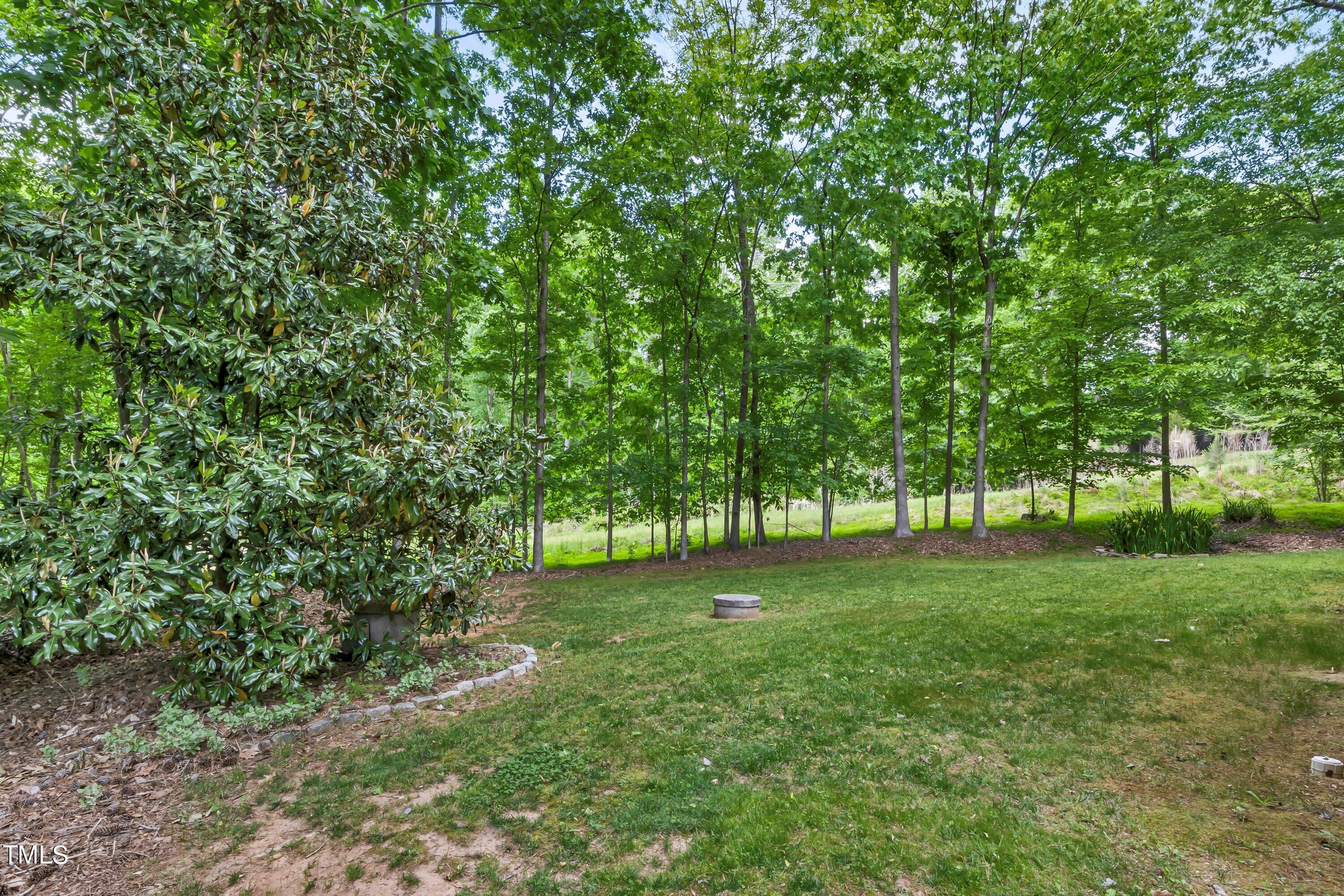 816 Kings Cross Way Raleigh, NC 27615 - Photo 33 of 41 10-IMG_0994