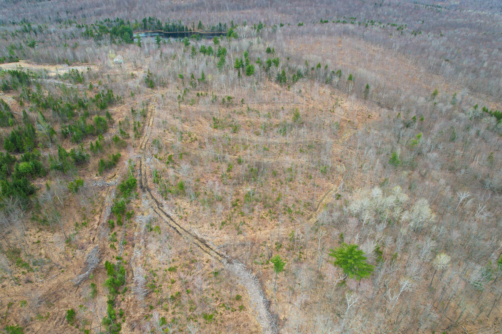 Mr02-l019 Holman Pond Road Temple, ME 04984 - Photo 39 of 40 Holman Lot 19