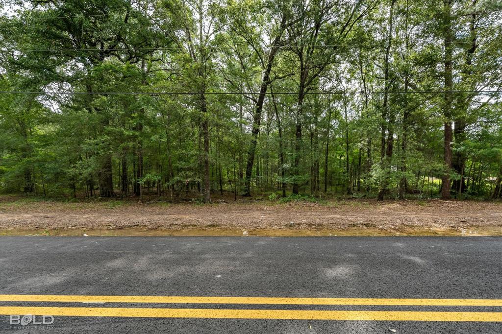 470 Pine Hill Road Elm Grove, LA 71051 - Photo 5 of 21
