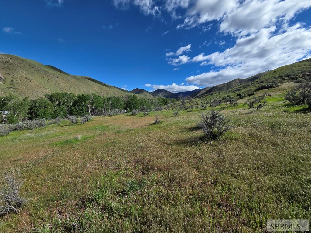 Nkn East Tower Creek Road Carmen, ID 83462 - Photo 36 of 63