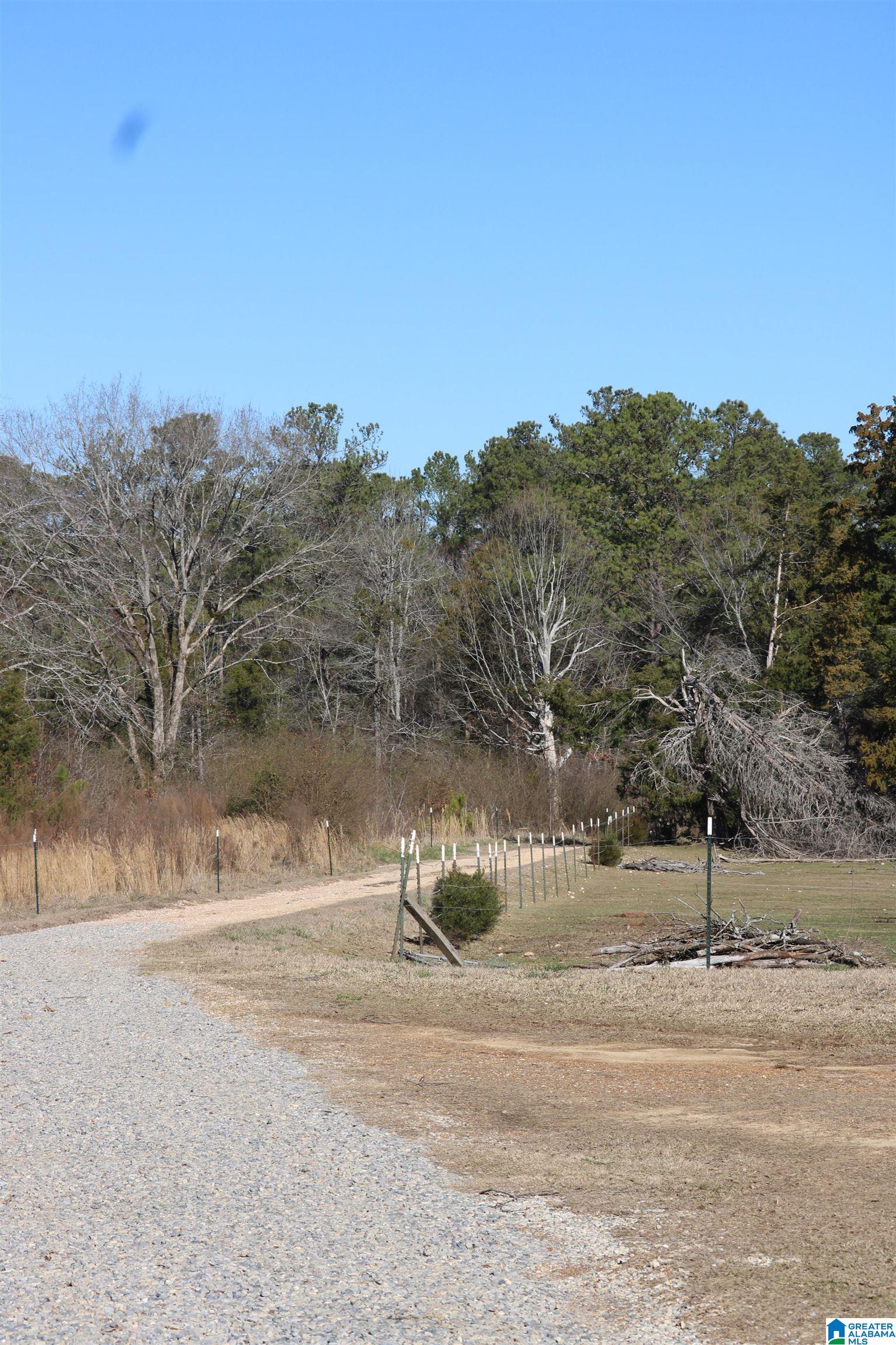 400 3 Cedars Road Ohatchee, AL 36271 - Photo 33 of 44