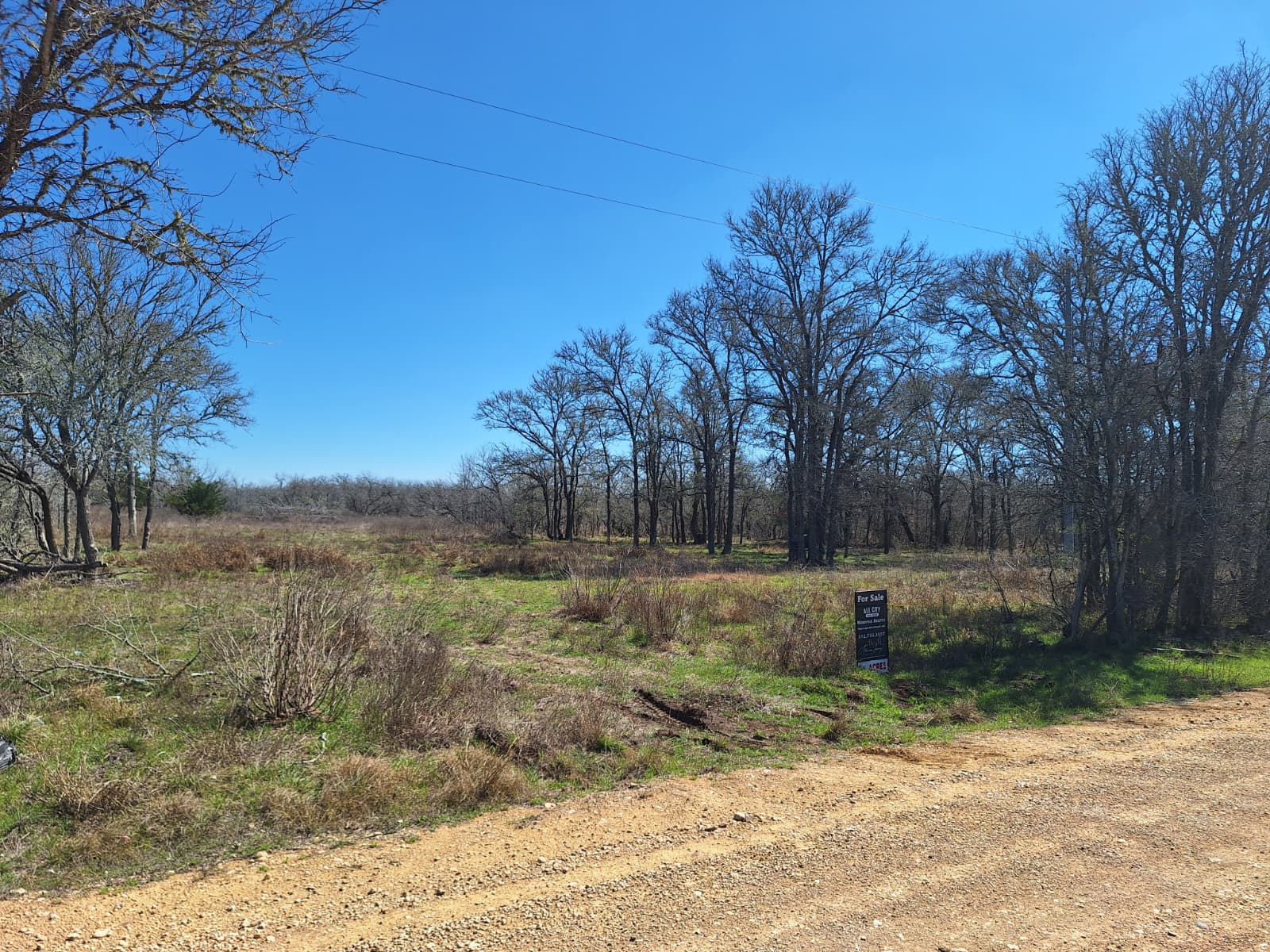 1554 Father Anders Loop Waelder, TX 78959 - Photo 1 of 9 View of yard