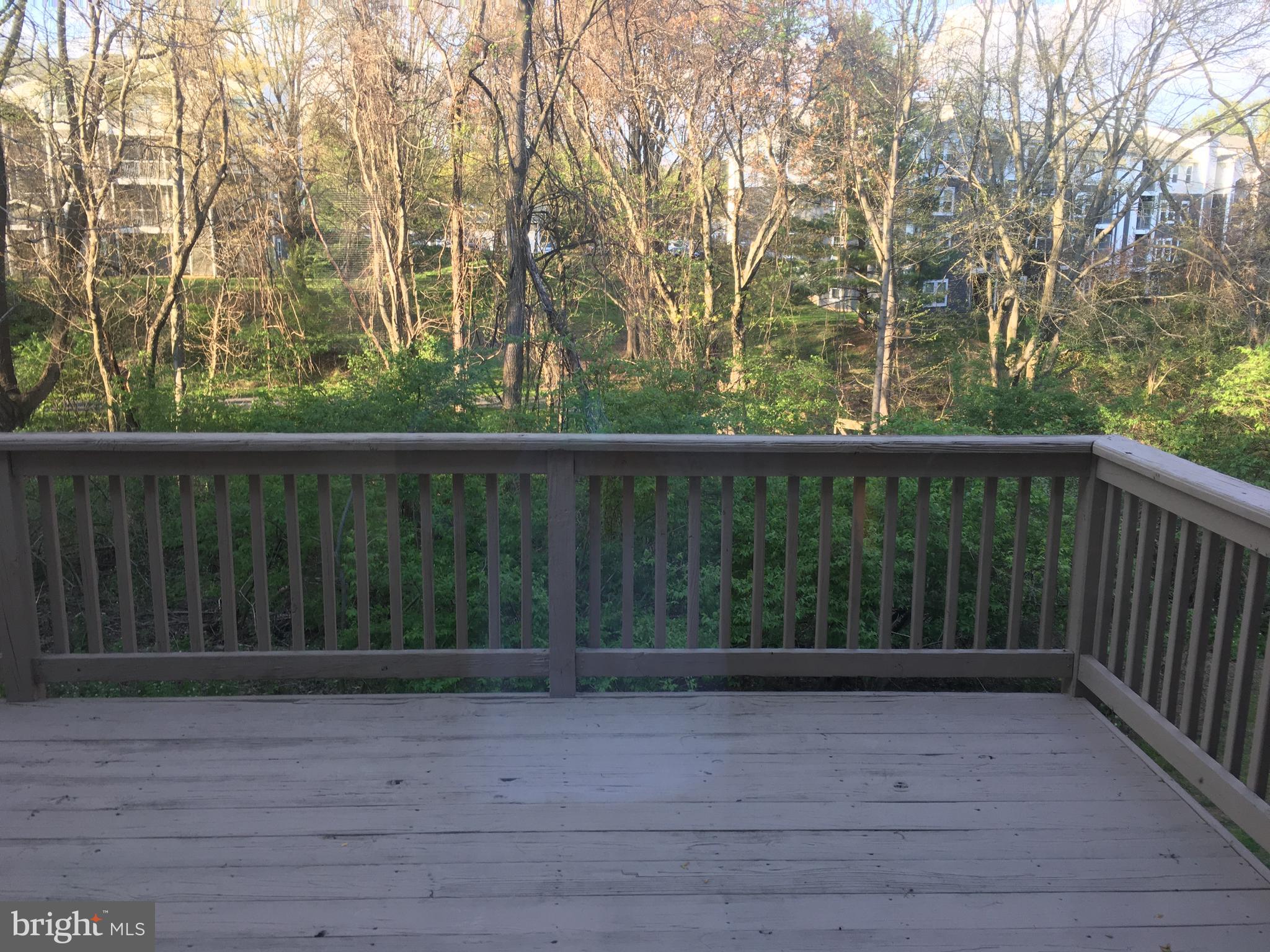 6159 Good Hunters Ride Columbia, MD 21045 - Photo 28 of 28 a wooden deck with trees