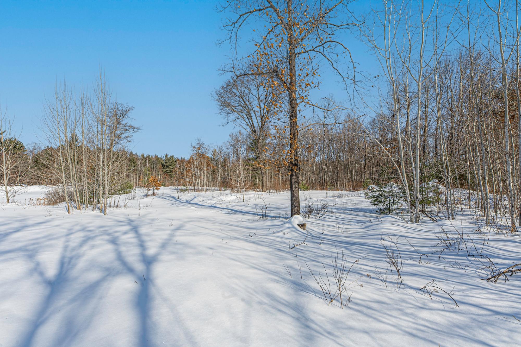 Three Browns Road Eagle River, WI 54521 - Photo 15 of 19 Gallery Image 15