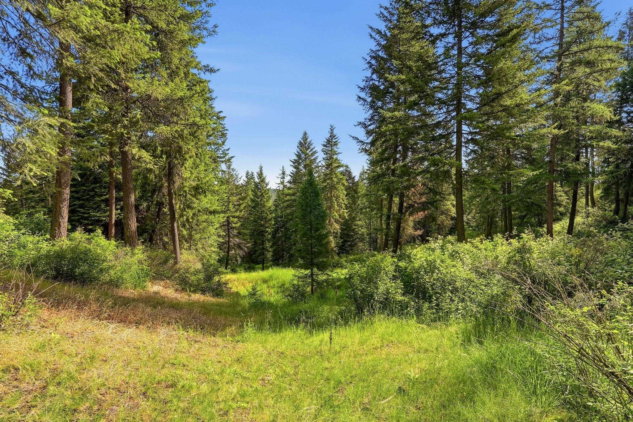 12112 East Burnett Road Mead, WA 99021 - Photo 21 of 23