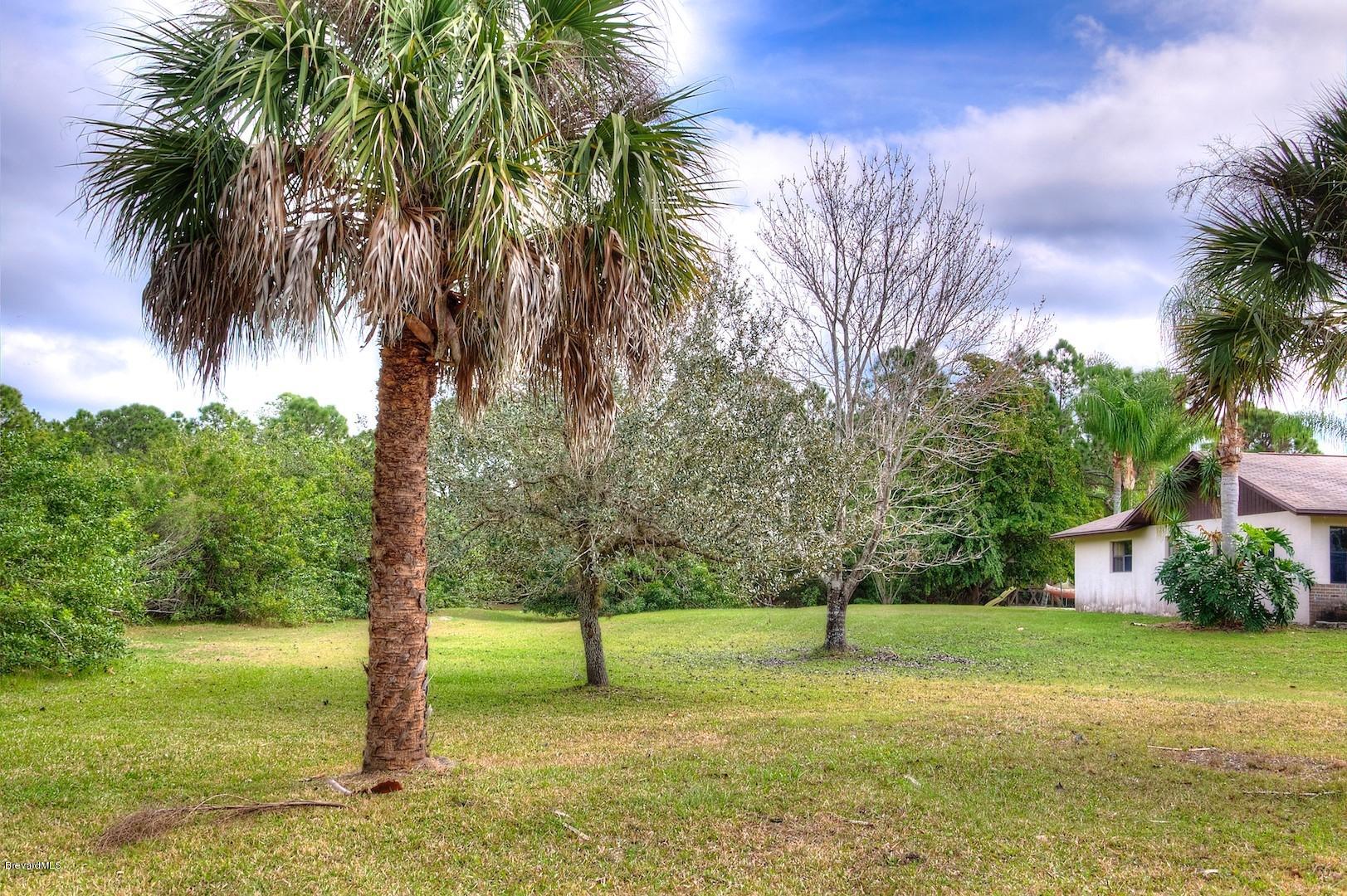 4615 Corey Road Malabar, FL 32950 - Photo 10 of 26 largeyard
