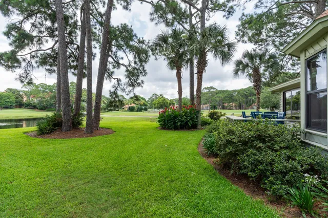 a view of a garden with trees