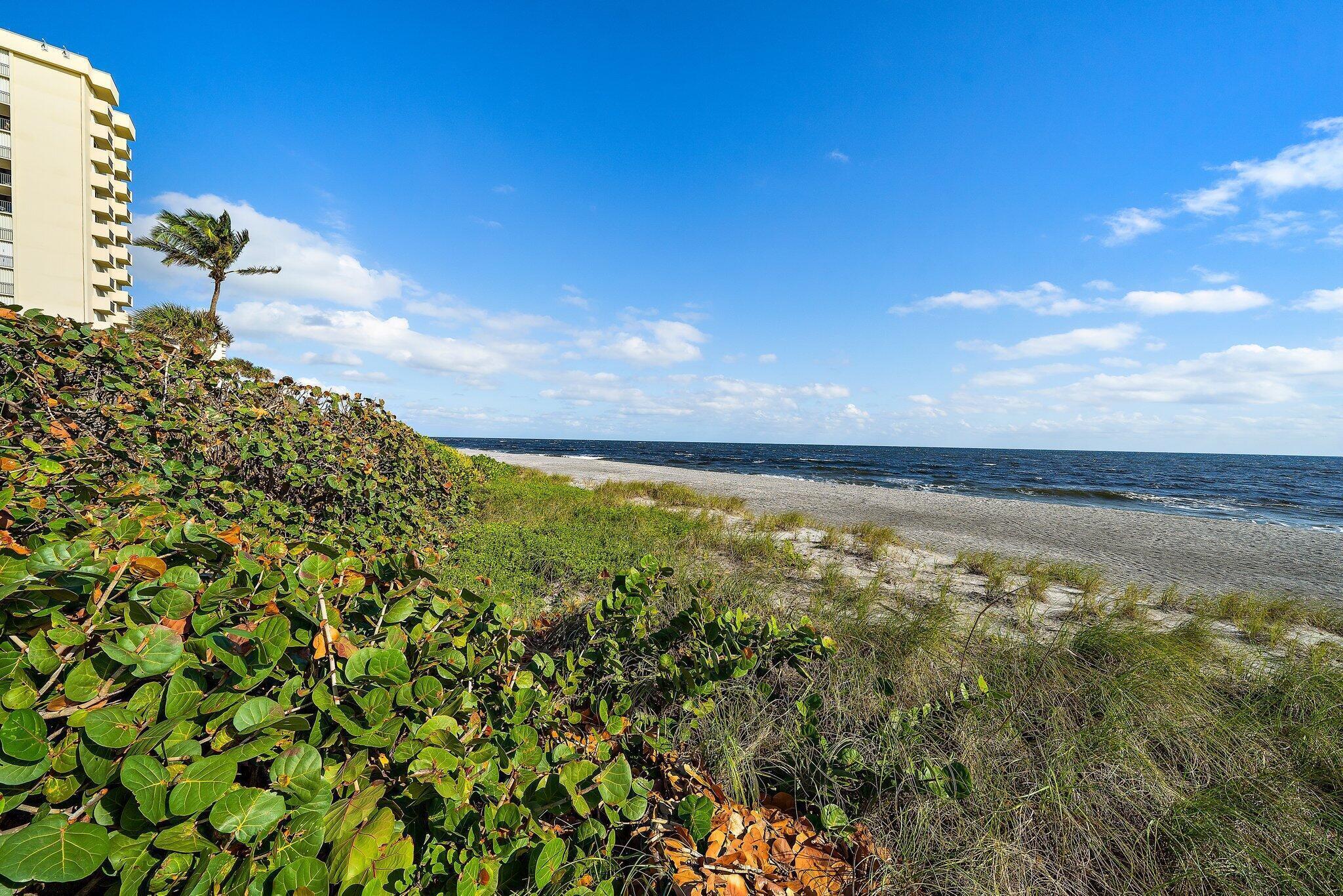 100 Ocean Trail Way, Unit 609 Jupiter, FL 33477 - Photo 36 of 66 a view of an ocean