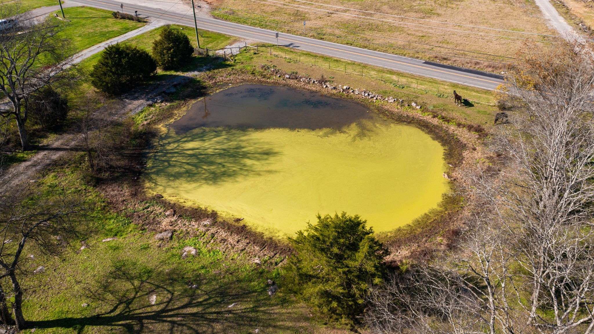 7477 Almaville Road Murfreesboro, TN 37128 - Photo 13 of 29 a view of a swimming pool