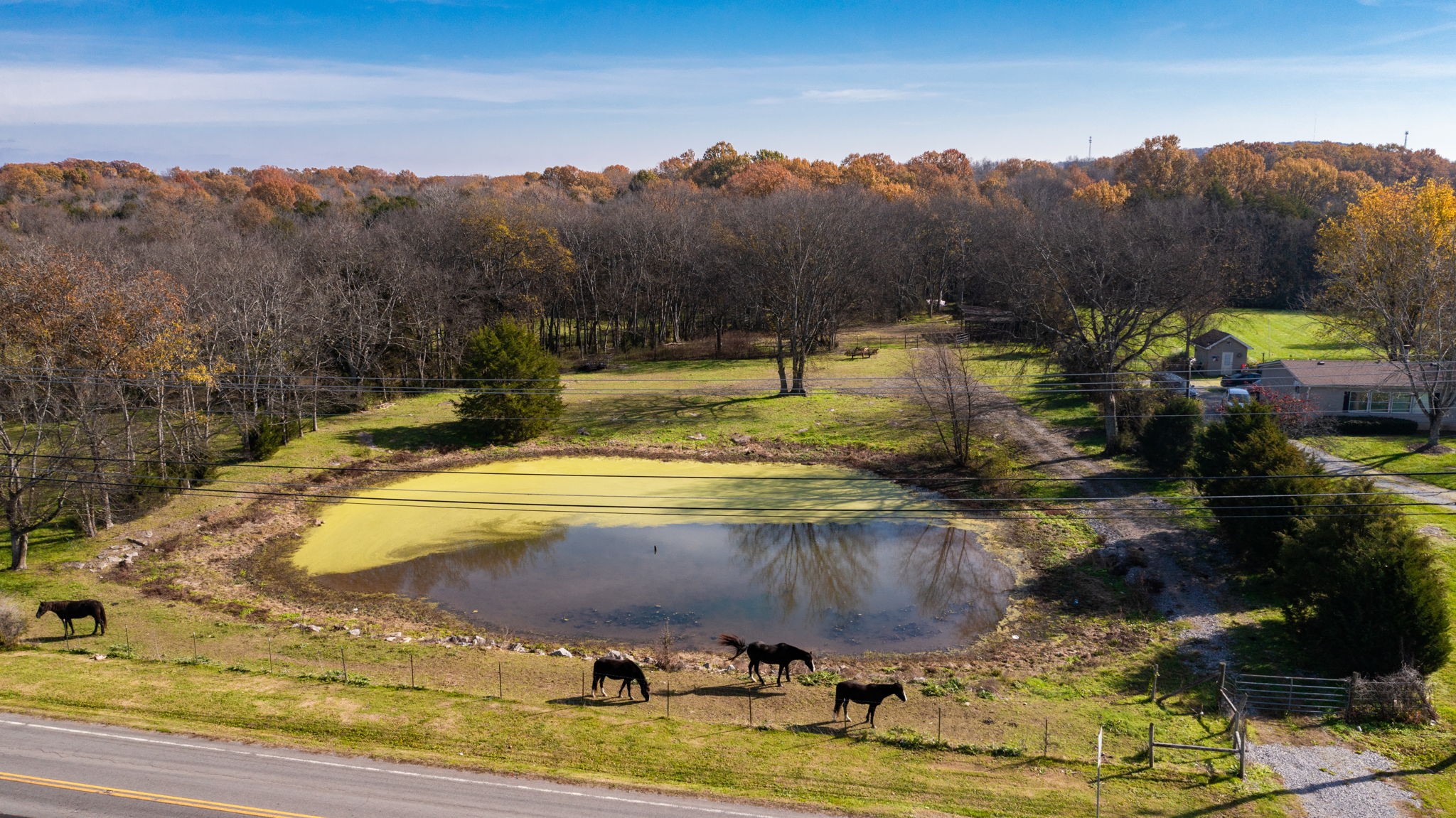 7477 Almaville Road Murfreesboro, TN 37128 - Photo 15 of 29 a view of a swimming pool with a yard