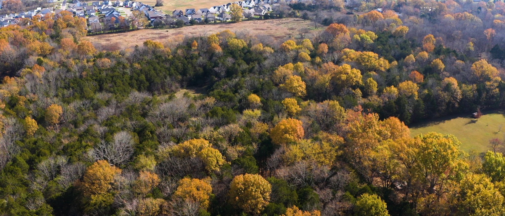 7477 Almaville Road Murfreesboro, TN 37128 - Photo 20 of 29