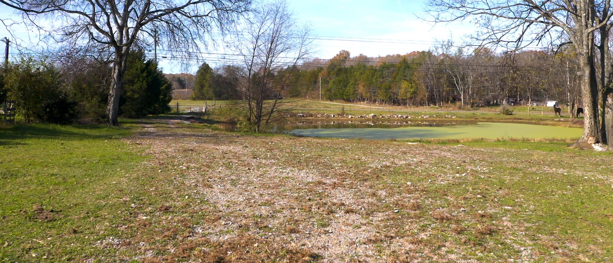 7477 Almaville Road Murfreesboro, TN 37128 - Photo 23 of 29 a view of a yard with a tree