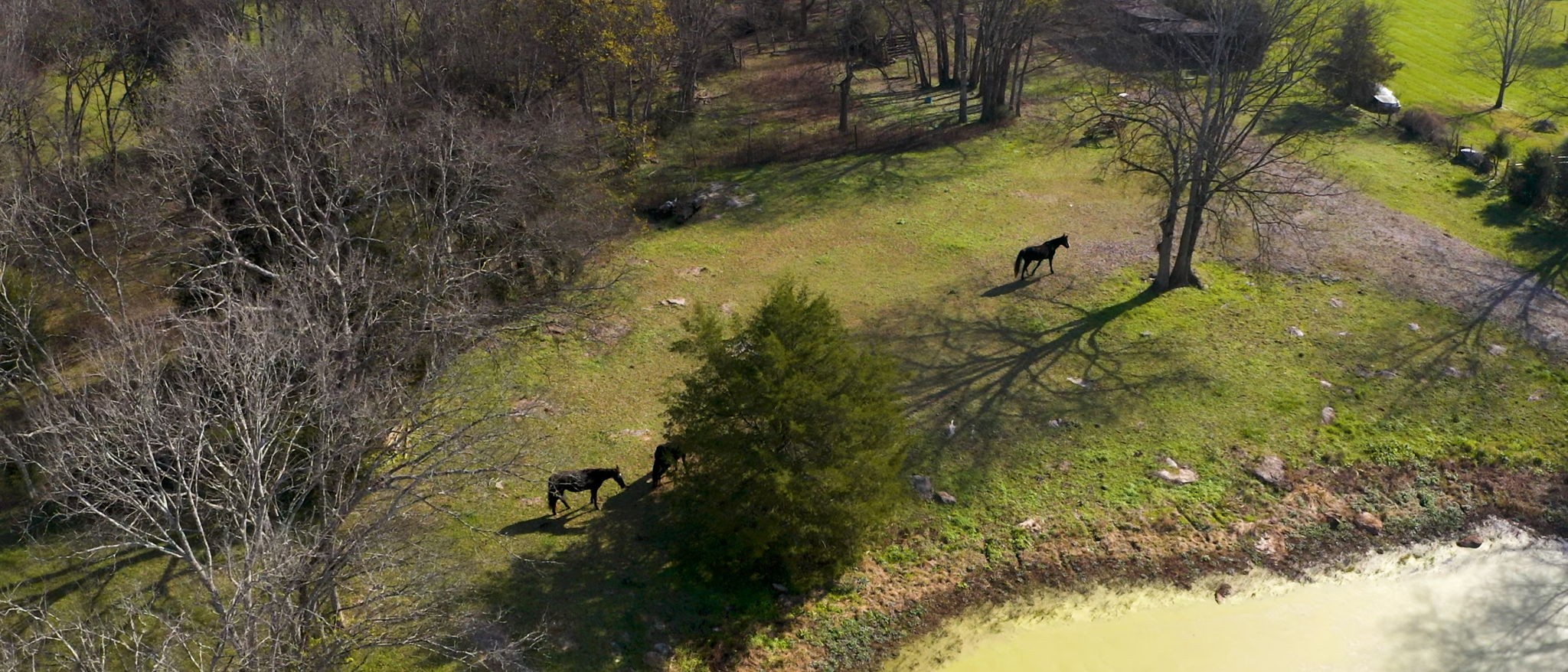 7477 Almaville Road Murfreesboro, TN 37128 - Photo 24 of 29