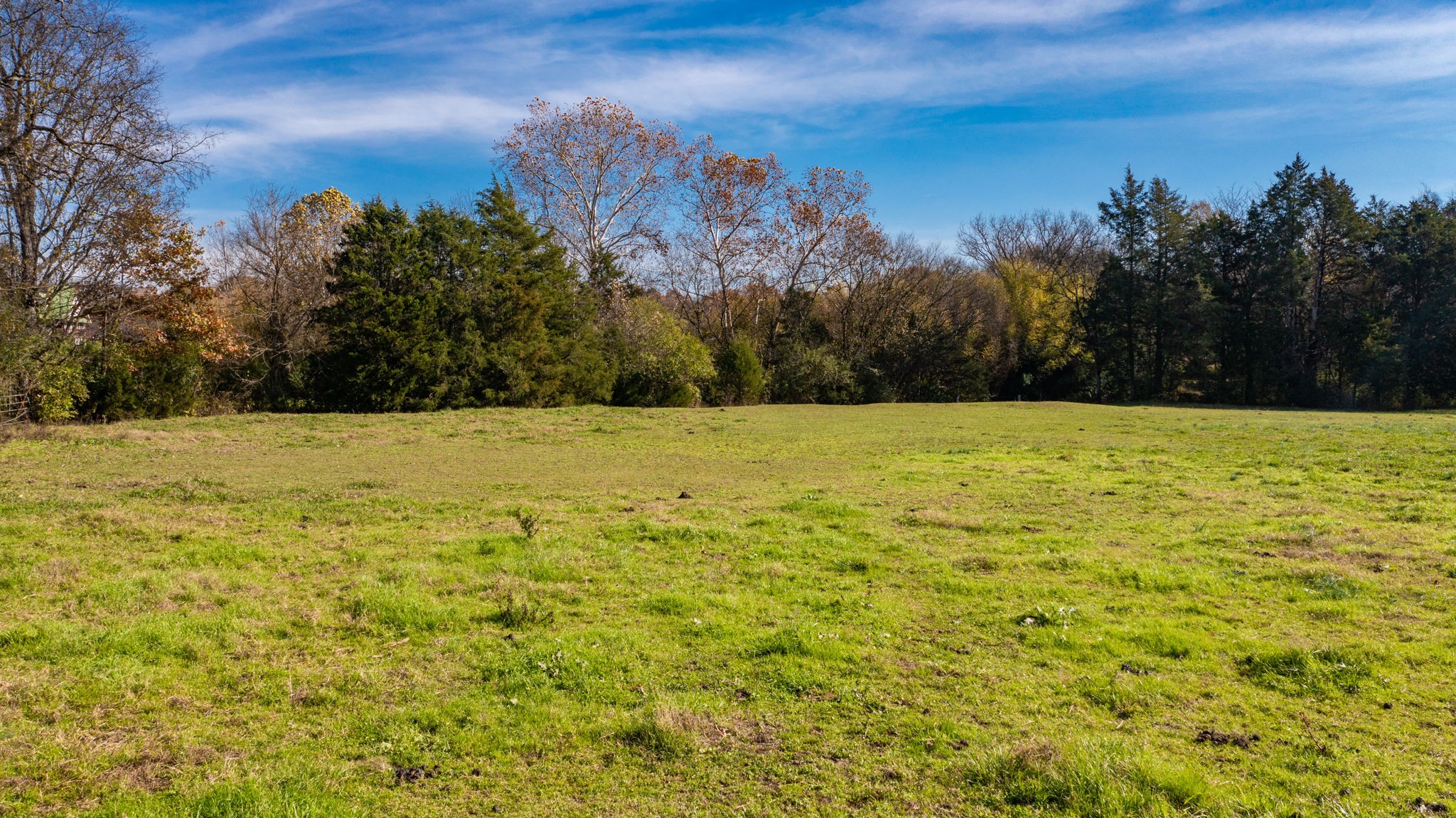 7477 Almaville Road Murfreesboro, TN 37128 - Photo 3 of 29 a view of a pool with a yard