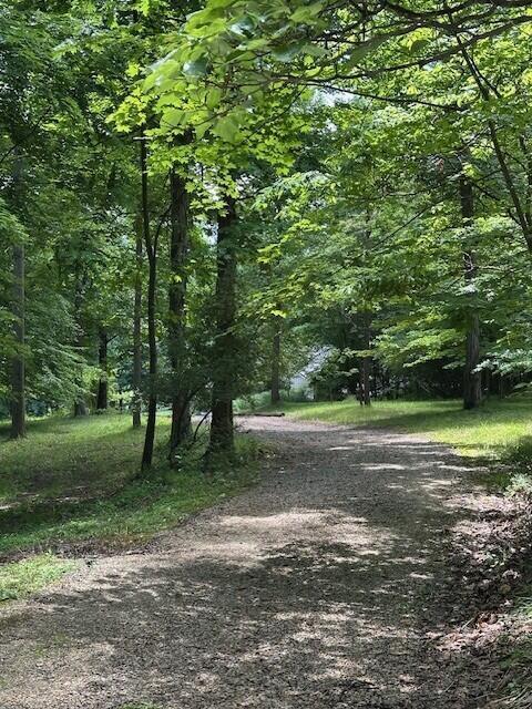 7751 Mulberry Road Heath, OH 43056 - Photo 5 of 70 FRESHLY TOPPED GRAVEL TREE LINED DRIVEWAY