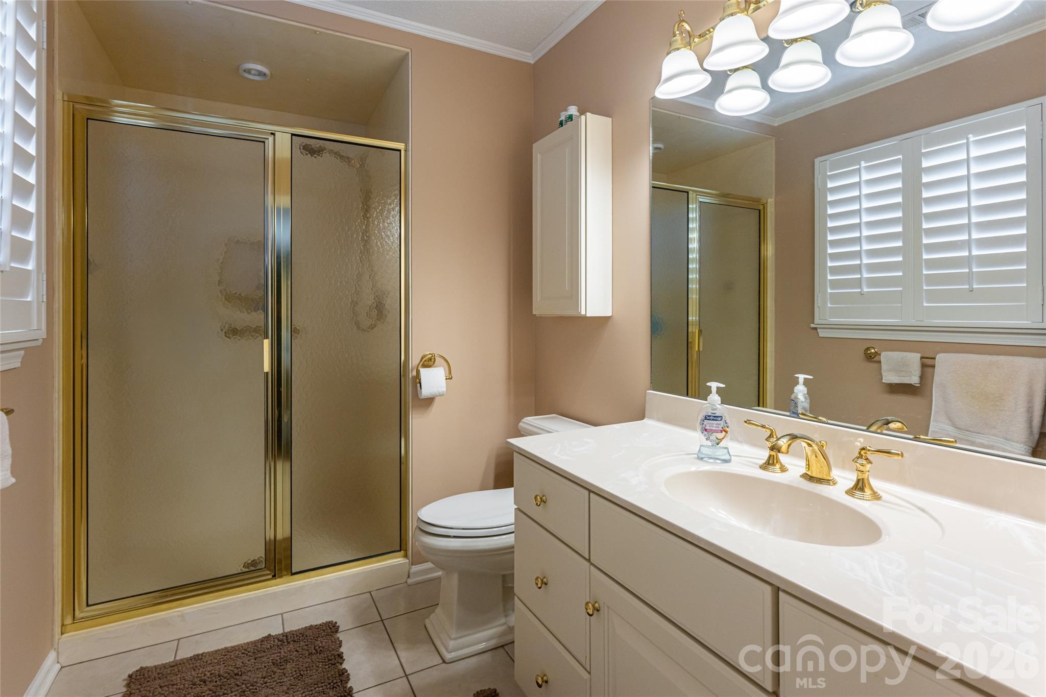 774 Crooked Creek Road Hendersonville, NC 28739 - Photo 21 of 46 a bathroom with a sink toilet and shower