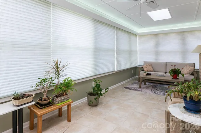 a room with furniture and a potted plant