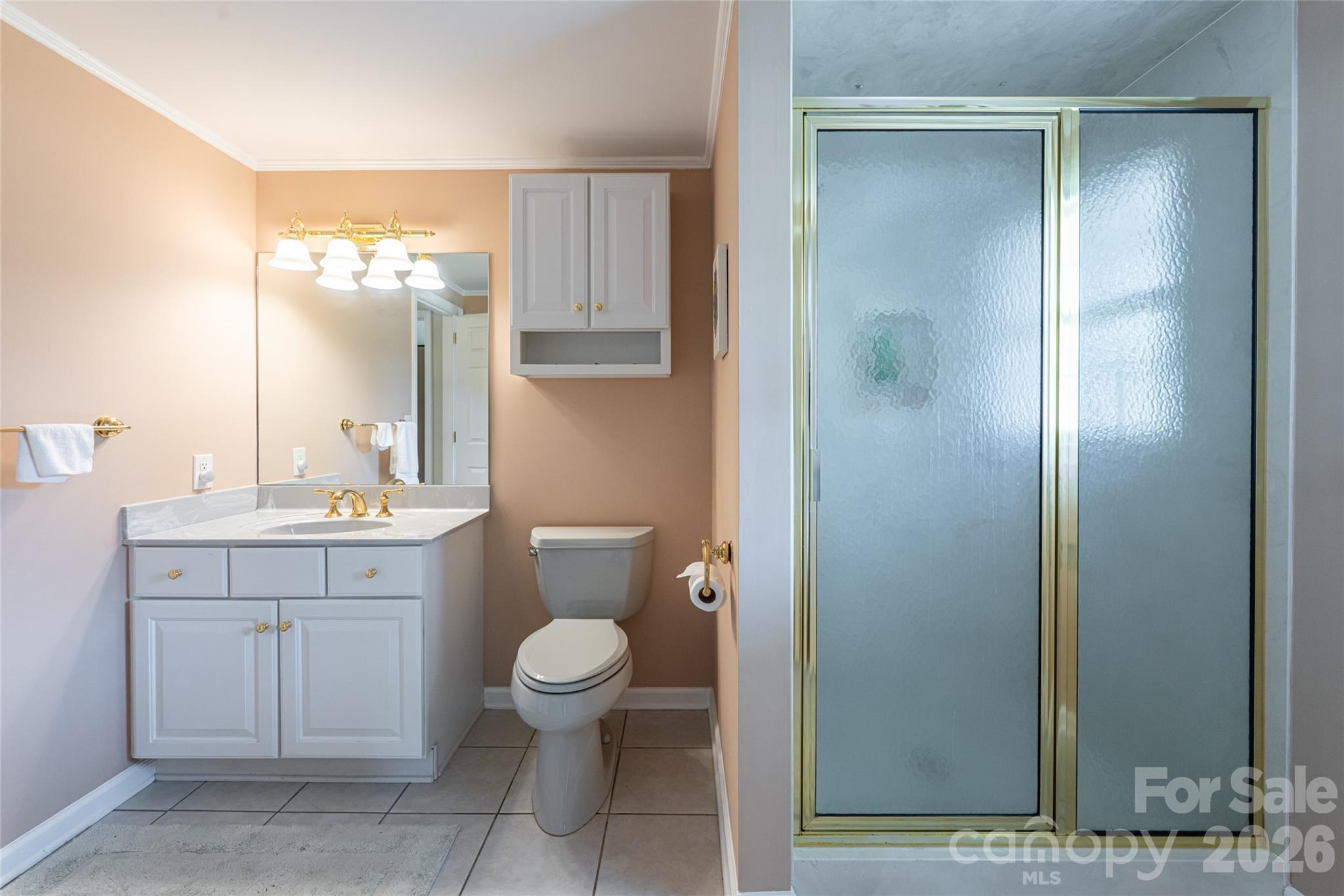 774 Crooked Creek Road Hendersonville, NC 28739 - Photo 36 of 46 a bathroom with a toilet a sink and mirror