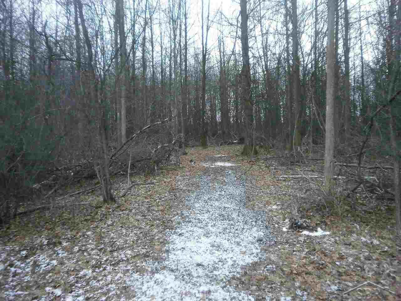 Pettit Road Birch Run, MI 48415 - Photo 4 of 10 31310371-3.JPG
